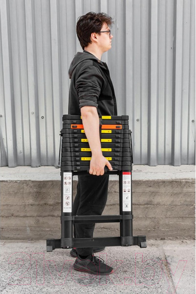 Изображение товара Телескопическая лестница RockForce RF-UP380-2(56442)