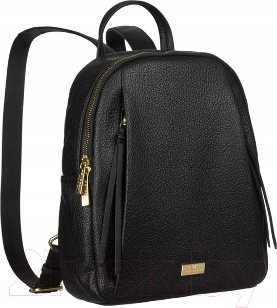 Изображение товара Рюкзак Peterson PTN ALP-22168 (черный)