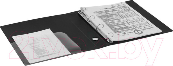 Изображение товара Папка для бумаг Brauberg Стандарт / 221620 (черный)