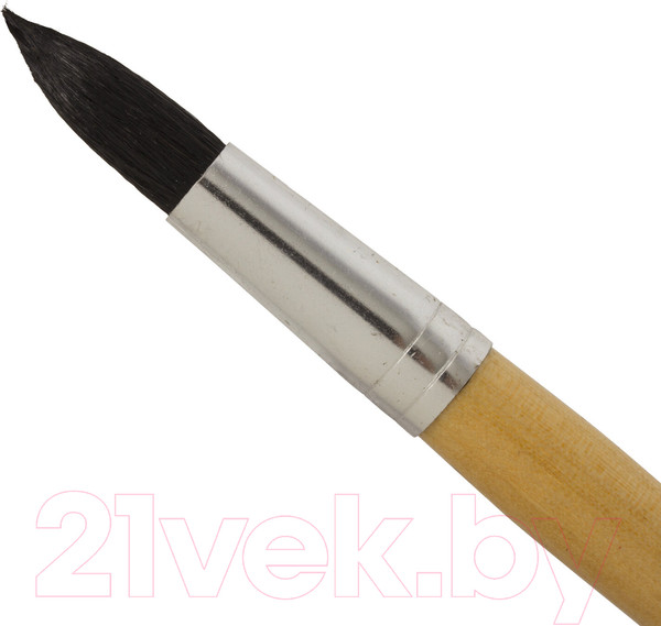 Изображение товара Кисть для рисования Brauberg Белка №10 / 200187 (круглая)