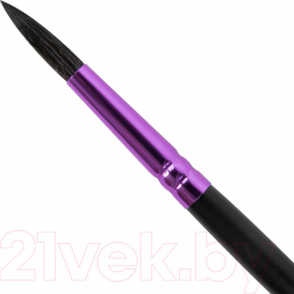 Изображение товара Кисть для рисования Brauberg Premium. Белка №6 / 200975 (круглая)