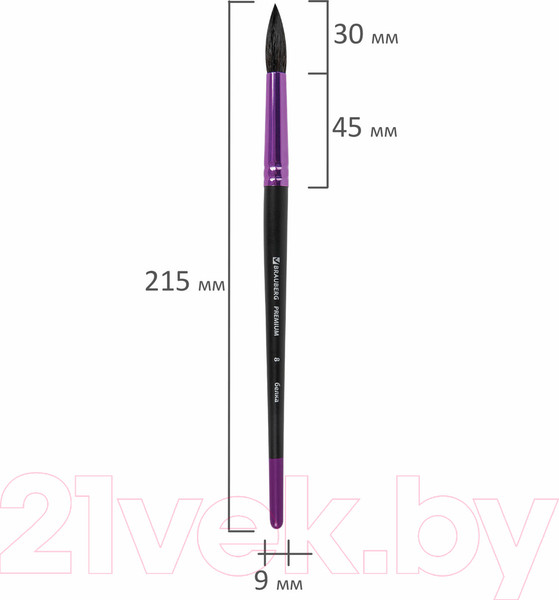 Изображение товара Кисть для рисования Brauberg Premium. Белка №8 / 200977 (круглая)