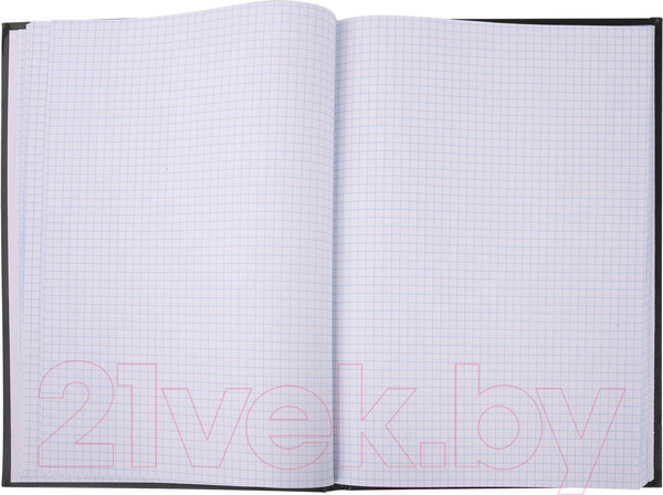 Изображение товара Книга учета Brauberg 130275 (96л, черный)