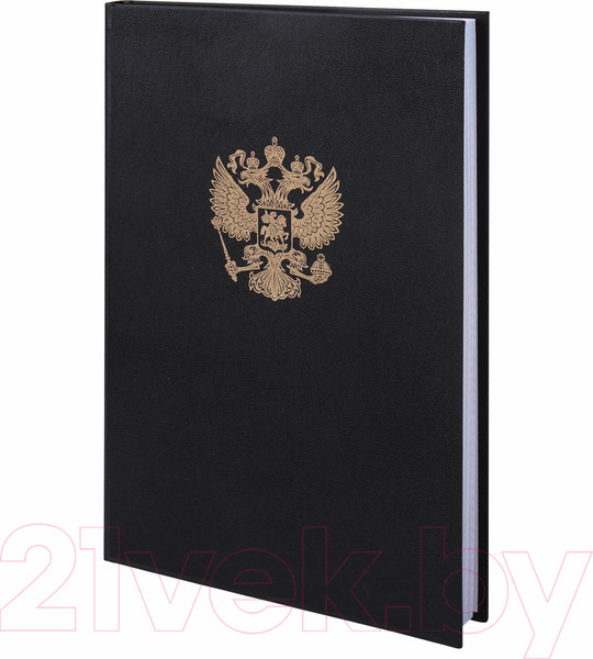 Изображение товара Книга учета Brauberg 130275 (96л, черный)