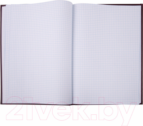 Изображение товара Книга учета Brauberg 130276 (96л, бордовый)