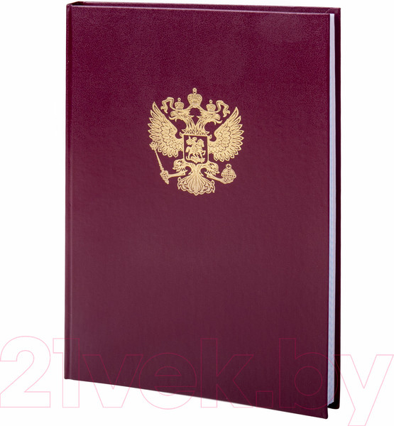 Изображение товара Книга учета Brauberg 130276 (96л, бордовый)