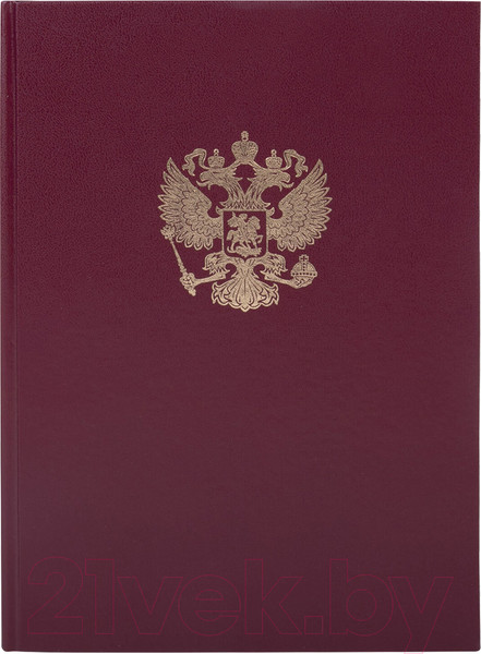Изображение товара Книга учета Brauberg 130276 (96л, бордовый)