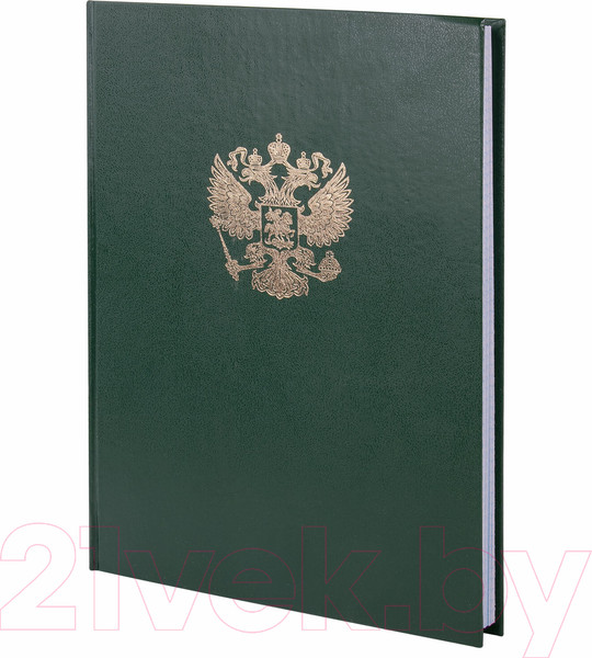 Изображение товара Книга учета Brauberg 130277 (96л, зеленый)