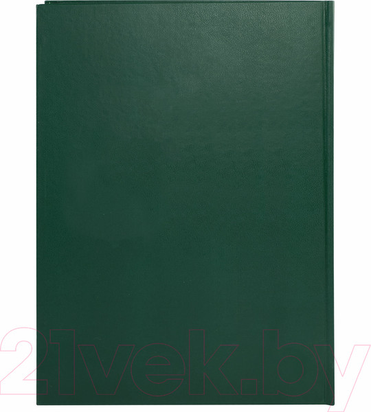 Изображение товара Книга учета Brauberg 130277 (96л, зеленый)
