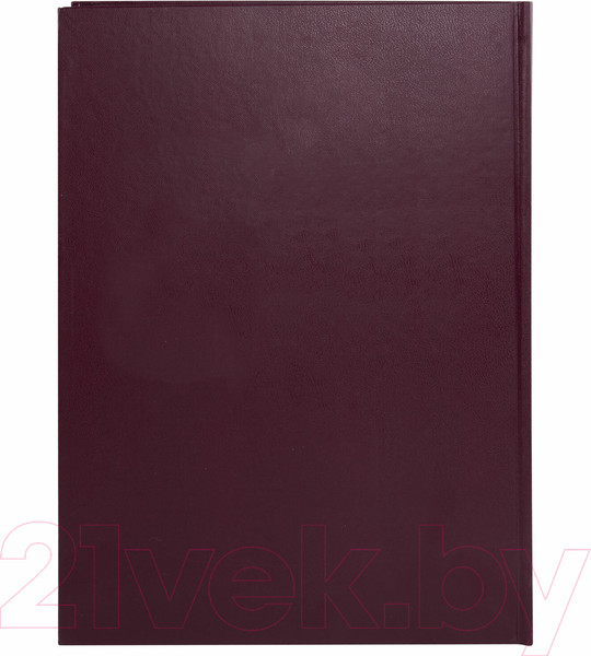 Изображение товара Книга учета Brauberg 130279 (96л, бордовый)