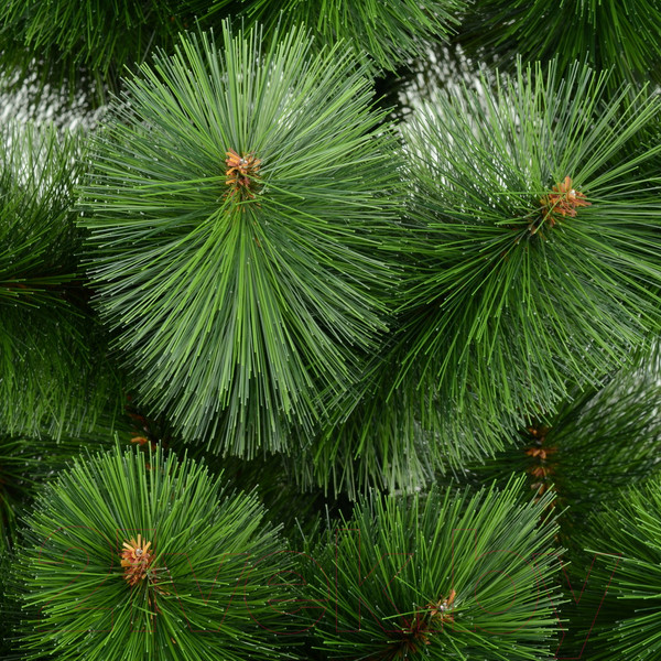 Изображение товара Сосна искусственная Erbis Zylk 150