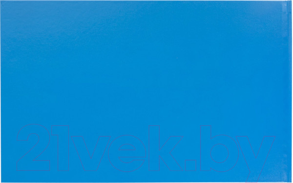 Изображение товара Книга учета Brauberg 130074 (96л)