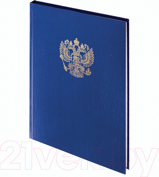 Изображение товара Книга учета Brauberg 130141 (96л, синий)