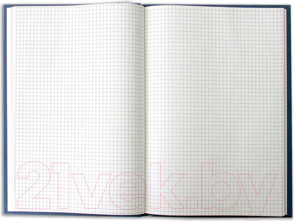 Изображение товара Книга учета Brauberg 130069 (96л, светло-синий)