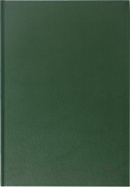 Изображение товара Книга учета Brauberg 130222 (96л, зеленый)