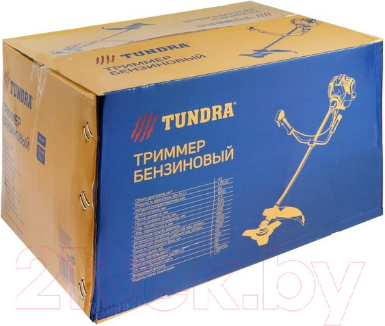 Изображение товара Триммер бензиновый Tundra Easy-start 5513385