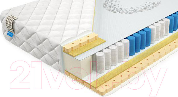 Изображение товара Матрас Mr. Mattress Cactus XL 160x190