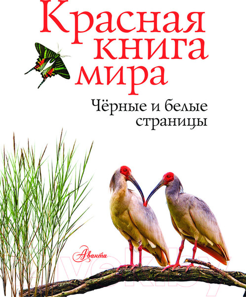 Изображение товара Энциклопедия АСТ Красная книга мира. Черные и белые страницы (Молюков М., Смирнов П.)