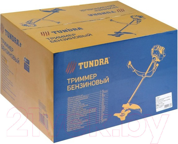 Изображение товара Триммер бензиновый Tundra Easy-start 5513386