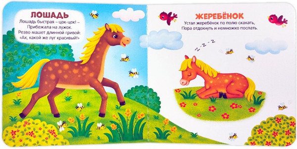 Изображение товара Книжка-панорамка Malamalama Первая книга малыша. Наша природа, твердая обложка