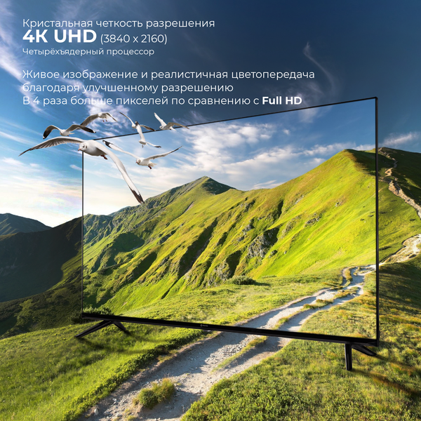 Изображение товара Телевизор Evolution 43" WOS43MR1UHD