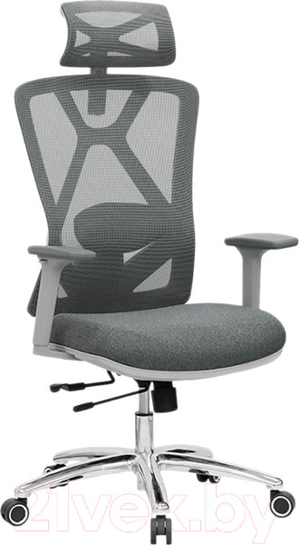 Изображение товара Кресло офисное Evolution Exo F1 (серый)