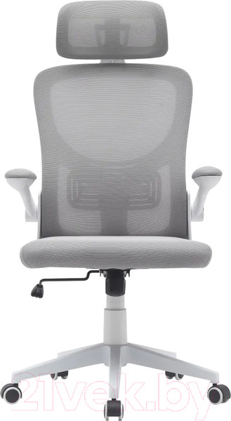 Изображение товара Кресло офисное TopChairs Airone D-502-1 (белый)