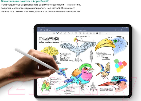 Изображение товара Планшет Apple iPad Pro 11 128GB Wi-Fi A2759 / MNXD3 (серый космос)