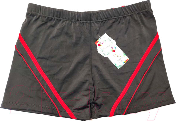 Изображение товара Плавки ZEZ Sport 2039 (черный/красный)