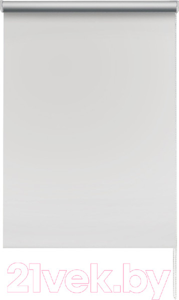 Изображение товара Рулонная штора Эскар Вlackout 210x160 / 814652101601 (белый)
