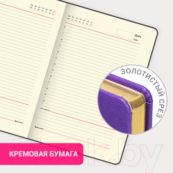 Изображение товара Ежедневник Brauberg Iguana / 114455 (160л, сиреневый)
