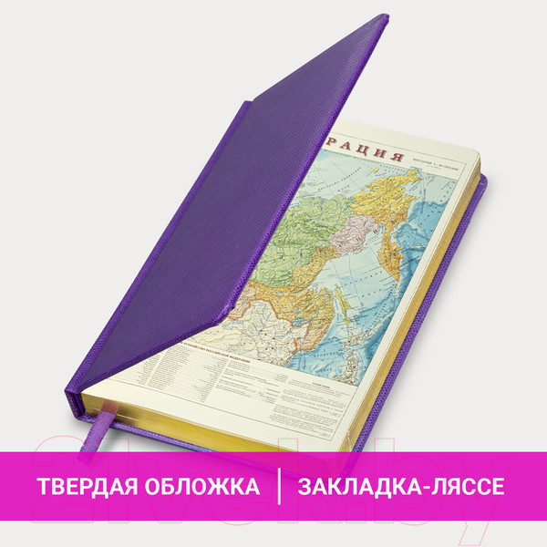 Изображение товара Ежедневник Brauberg Iguana / 114455 (160л, сиреневый)