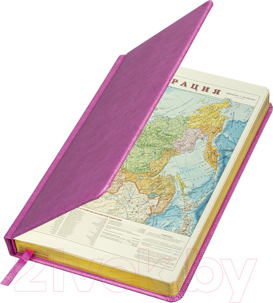 Изображение товара Ежедневник Brauberg Iguana / 114456 (160л, розовый)