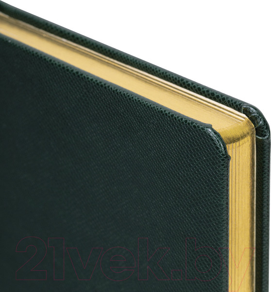 Изображение товара Ежедневник Brauberg Iguana / 114457 (160л, темно-зеленый)