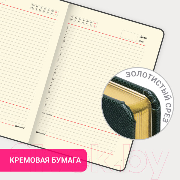 Изображение товара Ежедневник Brauberg Iguana / 114457 (160л, темно-зеленый)