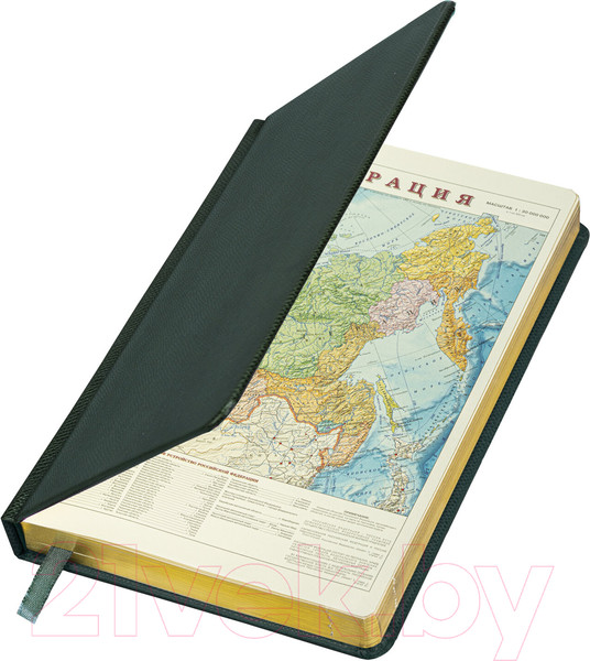 Изображение товара Ежедневник Brauberg Iguana / 114457 (160л, темно-зеленый)