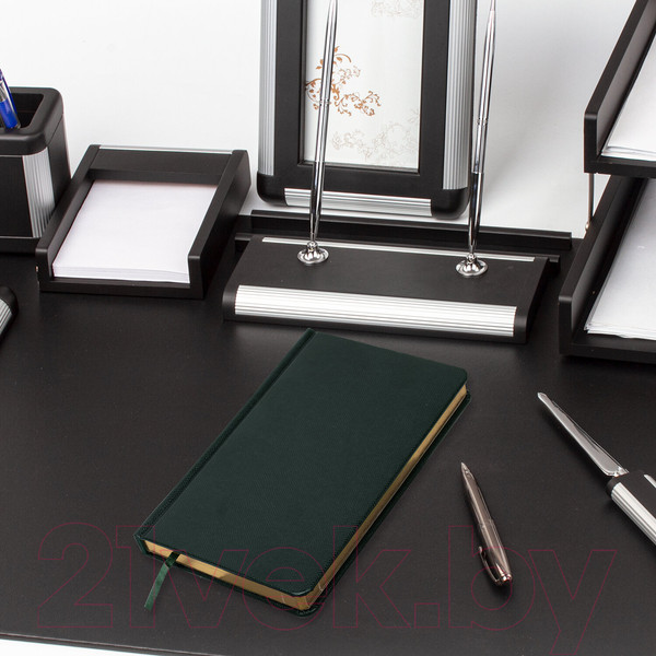 Изображение товара Ежедневник Brauberg Iguana / 114457 (160л, темно-зеленый)