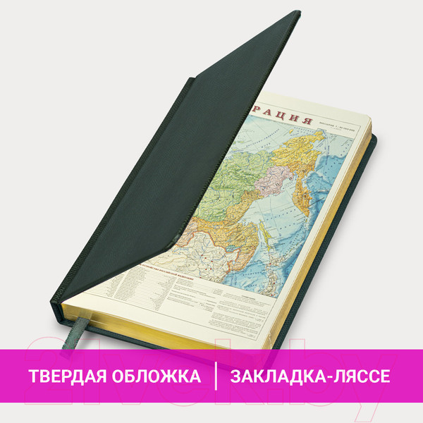 Изображение товара Ежедневник Brauberg Iguana / 114457 (160л, темно-зеленый)