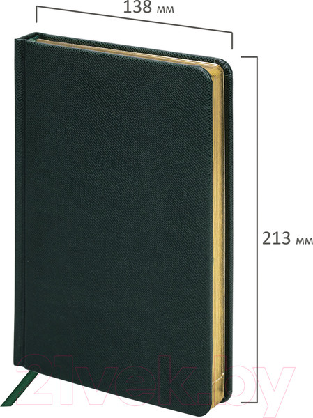 Изображение товара Ежедневник Brauberg Iguana / 114457 (160л, темно-зеленый)