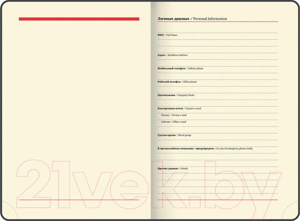 Изображение товара Ежедневник Brauberg Iguana / 114457 (160л, темно-зеленый)