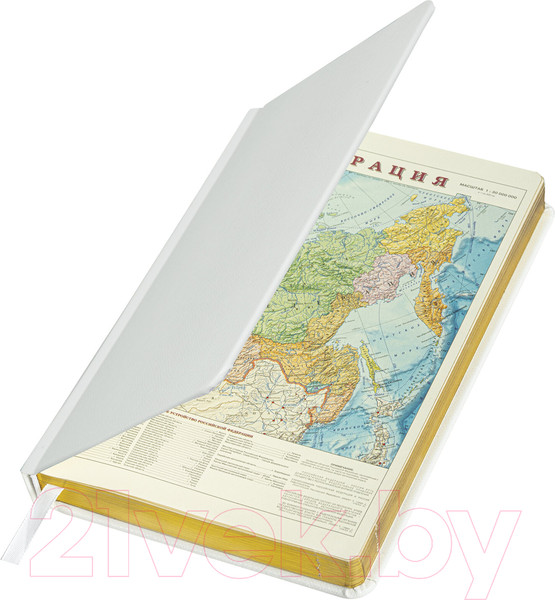 Изображение товара Ежедневник Brauberg Iguana / 114458 (160л, белый)