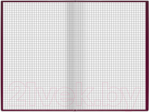 Изображение товара Книга учета Brauberg 130224