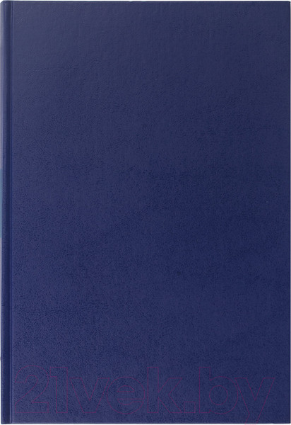 Изображение товара Книга учета Brauberg 130226