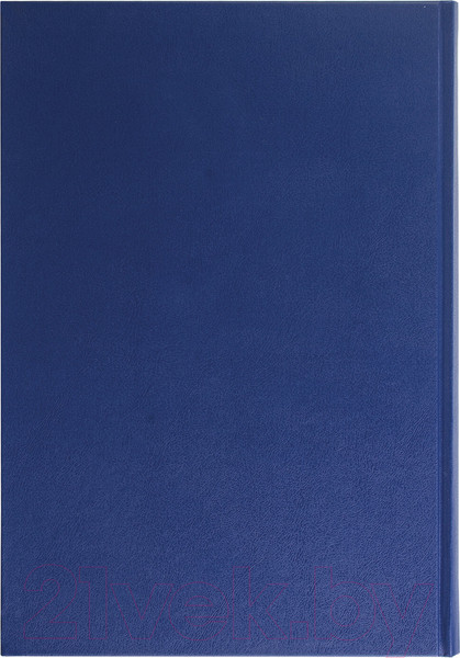 Изображение товара Книга учета Brauberg 130227