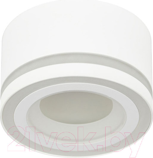 Изображение товара Точечный светильник ЭРА OL51 WH / Б0059804 (белый)
