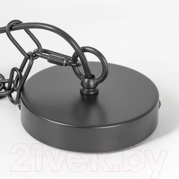 Изображение товара Люстра Lussole Fremont LSP-8817