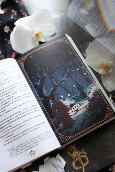 Изображение товара Книга МИФ Пророчество тьмы (Анви Рид)