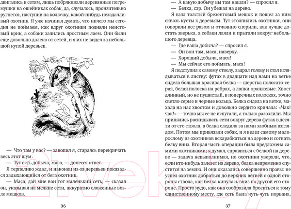 Изображение товара Книга Азбука Гончие Бафута. Зоопарк в моем багаже (Даррелл Дж.)