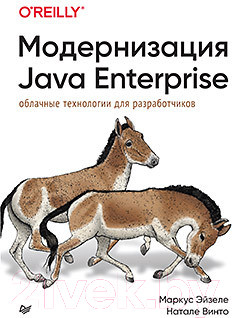 Изображение товара Книга Питер Модернизация Java Enterprise (Эйзеле М., Винто Н.)