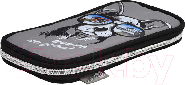 Изображение товара Пенал Феникс+ Собака в очках / 62045